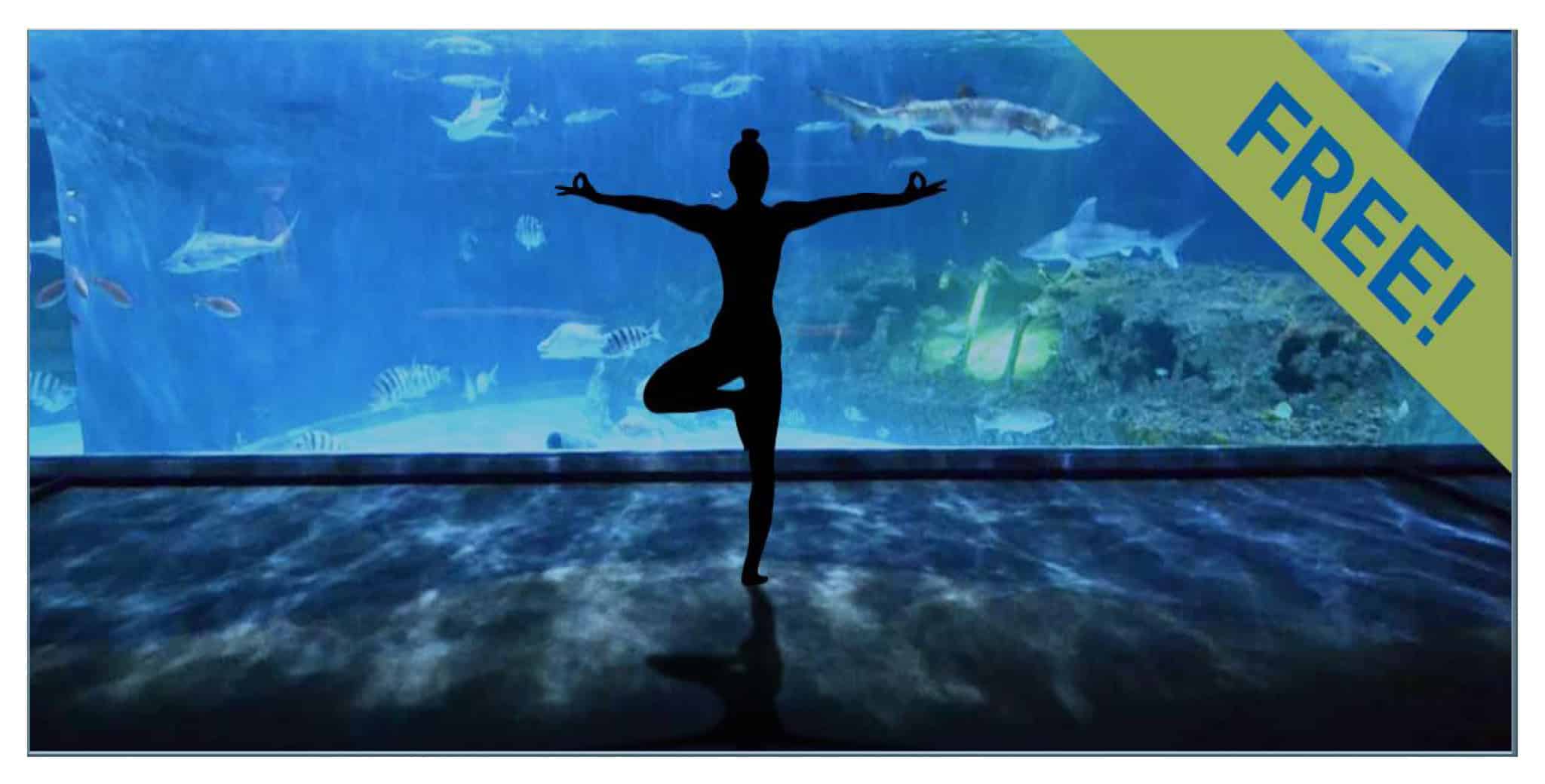 Namaste with the Sharks
